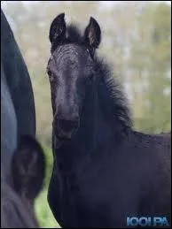 Comment l'appelle-t-on ?