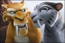 Que font Diego et Shira la plupart du temps ?