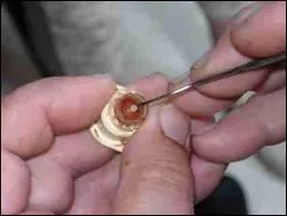 Que voit-on sur cette image ?