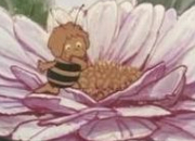 Quiz Quiz dcal des abeilles - Insolite