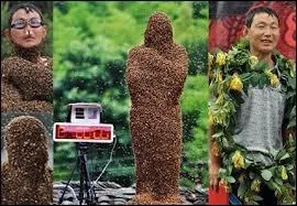 En comptition de port d'abeilles sur le corps, l'apiculteur chinois Wang Dalin en 2011  portait  en 1 heure sur le dos plus de ...