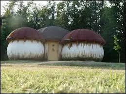 Que reprsente cette photo ?