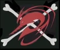 Ce drapeau appartient  :