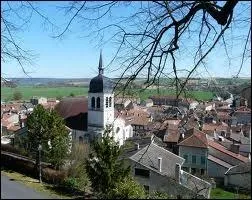 Je termine cette premire partie Meusienne par la ville de Vaucouleurs et ses habitants portant le gentil ...