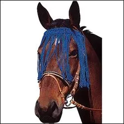  quoi sert l'accessoire en bleu ?