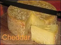 Le cheddar, ce fromage au got prononc, est originaire du village de Cheddar situ 