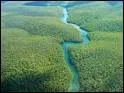 Quel pourcentage de fort tropicale l'Amazonie reprsente-t-elle ?