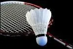 De quel ordre est le poids d'une raquette de badminton ?