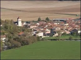 Voici une vue du village de Pagny-la-Blanche-Cte. Ses habitants portent le gentil ...