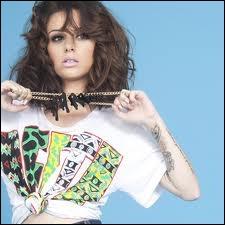 Que voit-on souvent dans les clips de Cher Lloyd ?