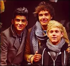 Qui est le plus jeune entre Zayn Malik, Niall Horan et Liam Payne ?