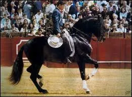 Dans quels domaines le trouve-t-on, quelles activits ? (Plusieurs rponses)