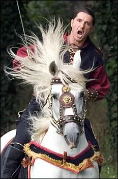 Dans quels domaines tait-il utilis autrefois ? (plusieurs rponses)