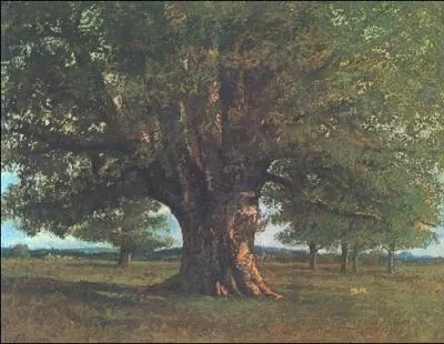 Quel est le nom de cet arbre ?