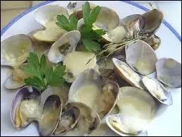 Comment sont elles ?