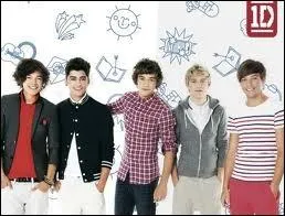 Combien ont-ils fait de vido diaries ?