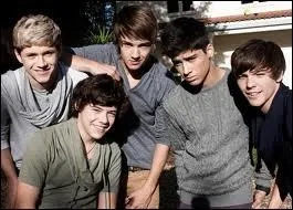 Qui voit-on en premier lieu dans le clip  Live while we're young  ?