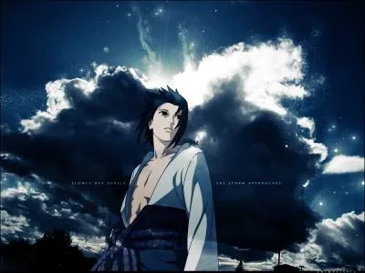 Comment s'appelle la barrire de Sasuke ?