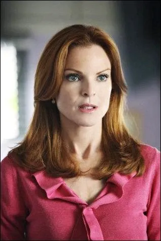 Comment s'appelle l'avocat de Bree ?