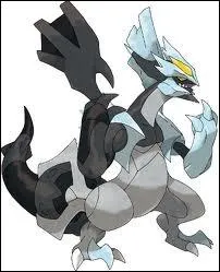 De quel type est ce Kyurem ?