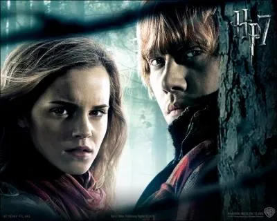 Dans le dernier film, avec qui Hermione s'est-elle marie ?