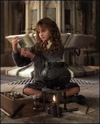Dans  Harry Potter , Hermione est une :