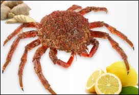 Quel est ce crustacé de type  crabe  aux pattes longues et effilées ?