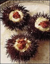 Quel est cet chinoderme ?