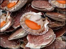 Quel est ce coquillage bivalve dont on consomme le  corail  ?