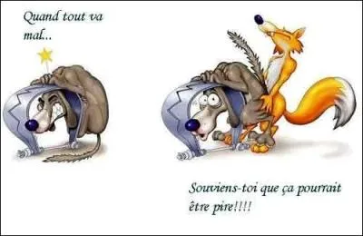 Le croisement loup-renard est possible :