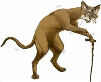 Quel ge avait le plus vieux chat ?