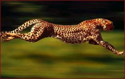 Combien de mtres peut-il parcourir  la vitesse de 110 km/h ?