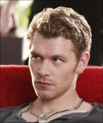 Qui joue-t-il dans  The Vampire Diaries  ?