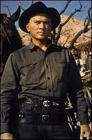 Une bande de cowboys avec à leur tête Yul Brynner vient en aide à des villageois mexicains.