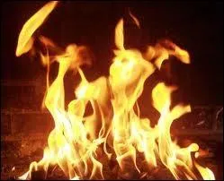 Le titre de ce film de François Truffaut fait allusion à la température d'auto-inflammation du papier.