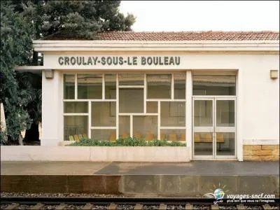 Quel est l'arbre qui  s'croule  sur cette petite gare hautement frquente ?