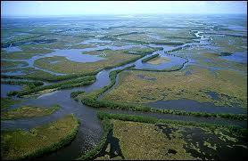Dans quel Etat des Etats-Unis se trouve le delta du fleuve Mississippi ?
