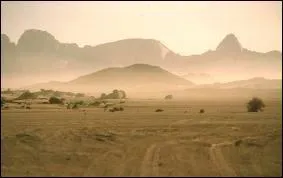 Quel est le minerai extrait dans le nord dsertique du Niger, principale exportation du pays ?