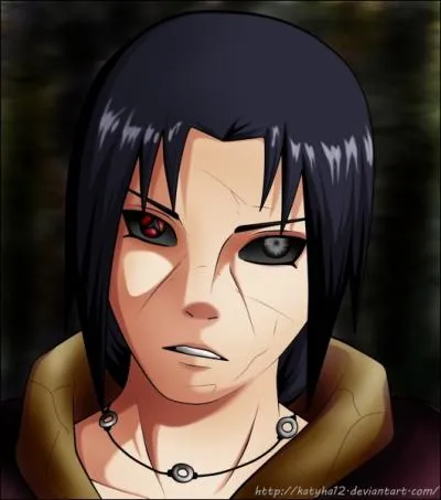 Comment se nomme la technique qui a permis d'arrter l'Edo Tensei ?