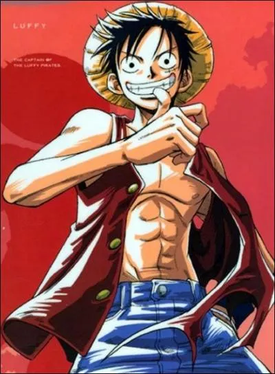 O atterit luffy aprs l'le des savondit ?