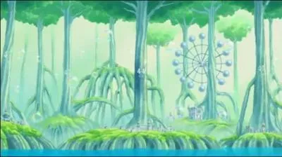 Qui arrive en premier sur l'le des savondit ?