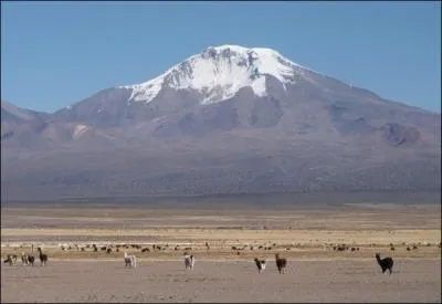 Comment appelle-t-on la neige qui ne fond jamais au sommet des montagnes ?