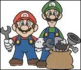 Quel mtier font Mario et Luigi ?