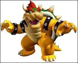 Comment s'appelle l'ennemi de Mario ?