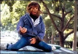 Sur quelle chanson Michael J. Fox (transform en loup-garou) danse-t-il sur le toit d'une camionnette en marche dans le film  Teen Wolf  ?