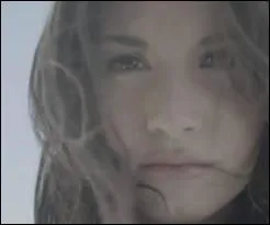 Au dbut du clip  Skyscraper , Demi marche sur...