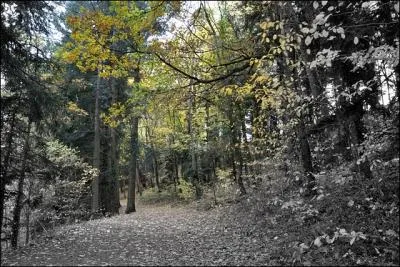 Soir et matin, la (... ) est frache, Hlas ! les beaux jours sont finis !