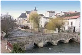 Je me rends dans la ville de Chasseneuil-du-Poitou, o� les habitants se nomment les ...