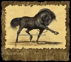 Le cheval d'Alexandre s'appelait Bucphale. Personne n'avait russi  le monter, le cheval ayant mme peur de son ombre. Comment Alexandre russit-il  le dompter ?