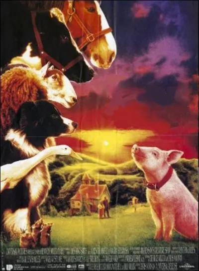 Ce film australien ralis en 1996 par Chris Noonan est un conte animalier, avec   Babe  ,   Ficelle  ,   Rex  ,   Ferdinand   ... .